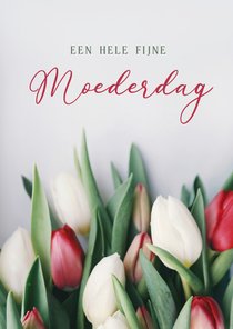 Klassieke moederdagkaart met foto van bos tulpen 