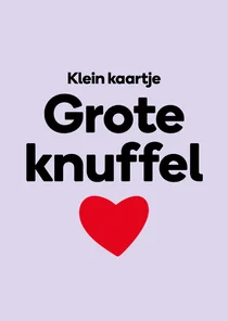 Kleine wenskaart grote knuffel