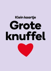 Kleine wenskaart grote knuffel
