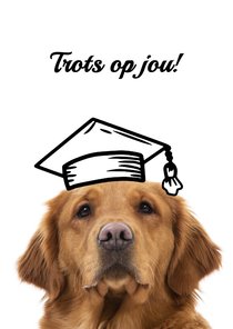 KNGF Geleidehond felicitatiekaart geslaagd trots op jou