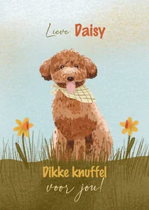 Knuffelkaart hond en narcissen om zomaar te versturen