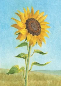 Kunstkaart met zonnebloem in aquarel