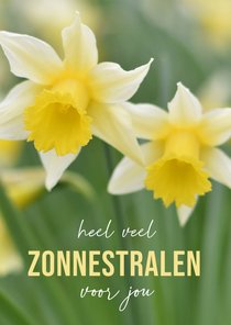 Lente beterschapskaart met zonnestralen en narcissen foto