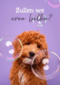 Leuke hondenkaart met vraag om even te bellen