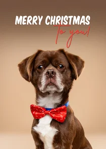 Leuke kerstkaart van hondje met kerststrik