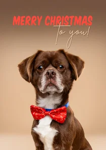 Leuke kerstkaart van hondje met kerststrik