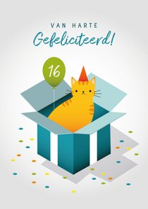 Leuke verjaardagskaart met kat in doos, ballon en confetti