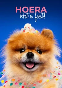 Leuke verjaardagskaart van hondje met confetti kleding