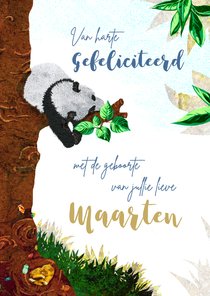 Lief geboorte felicitiatie kaartje voor een jongen met panda