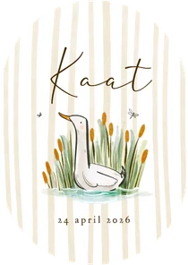 Lief geboortekaartje gans water riet streeppatroon