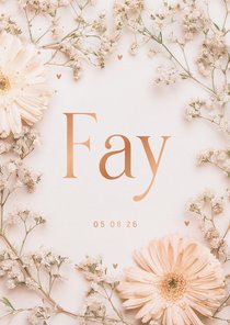 Lief geboortekaartje gipskruid kader gerbera zalmroze