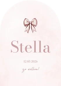  Lief geboortekaartje met roze strik in boogvorm