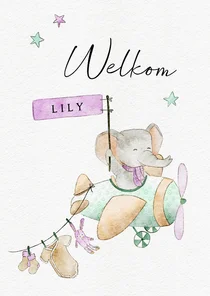 Lief kaartje met olifant in vliegtuig voor geboorte meisje