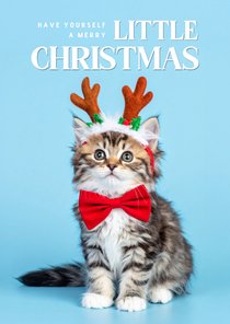 Lief kerstkaartje lichtblauw met kerst kitten