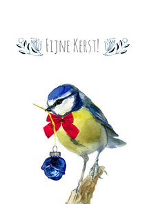 Lief kerstkaartje met pimpelmees