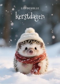 Lief kerstkaartje met schattig egeltje liefdevolle kerst