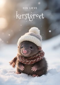 Lief kerstkaartje met schattig molletje lieve kerstgroet