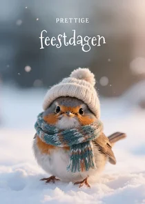Lief kerstkaartje met schattig roodborstje fijne feestdagen