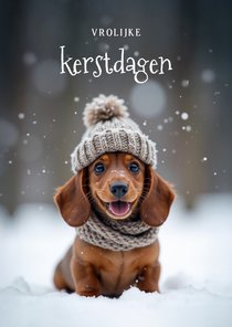 Lief kerstkaartje met vrolijke teckel vrolijke feestdagen