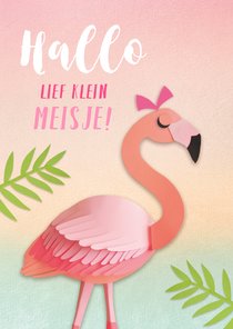 Lief klein meisje flamingo