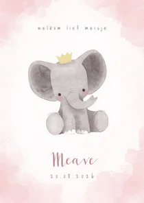 Lief olifantje in waterverf geboortekaartje meisje