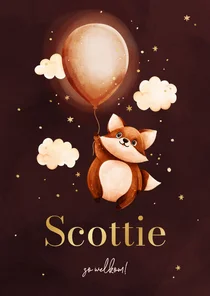 Lief roze geboortekaartje met vosje en een ballon