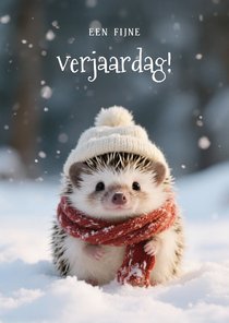 Lief verjaardagskaartje met schattig egeltje in de sneeuw