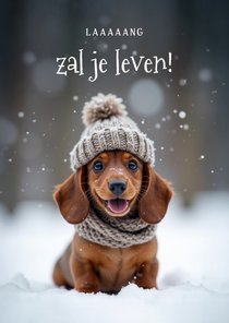 Lief verjaardagskaartje met vrolijke teckel in de sneeuw