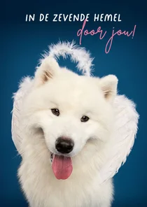 Liefdeskaart van witte hond met engelenvleugels
