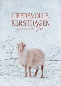 Liefdevolle kerstkaart met een schaap