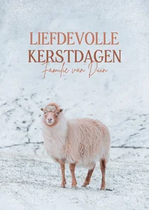 Liefdevolle kerstkaart met een schaap