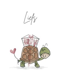 Liefs kaart Schildpad