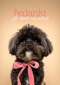 Lieve bedankkaart van zwart hondje met roze strik om nek 