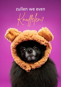 Lieve beterschapskaart zwart hondje met berenmuts en oortjes