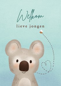 Lieve felicitatiekaart geboorte jongen met koala en bijtje