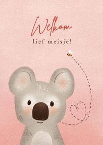 Lieve felicitatiekaart geboorte meisje met koala en bijtje