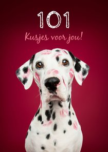 Lieve kaart van dalmatiër met 101 kusjes voor jou