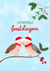 Lieve kerstkaart met illustratie van twee musjes in winter