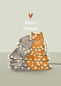 Lieve kerstkaart met knuffelende katten