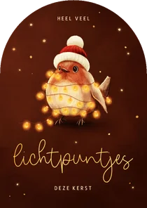 Lieve kerstkaart roodborstje lichtpuntjes voor jou