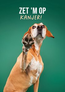 Lieve succes zet 'm op kaart van hond met pootje