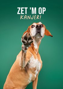 Lieve succes zet 'm op kaart van hond met pootje