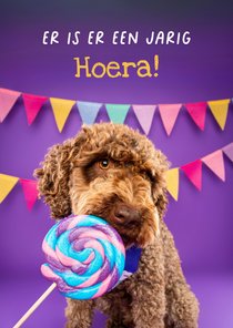 Lieve verjaardagskaart hond met lolly en slingers 