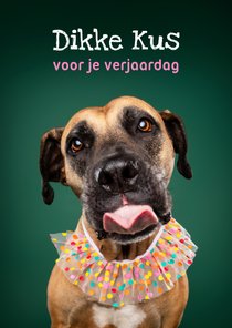 Lieve verjaardagskaart van hond met kraag en tong