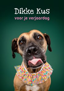 Lieve verjaardagskaart van hond met kraag en tong