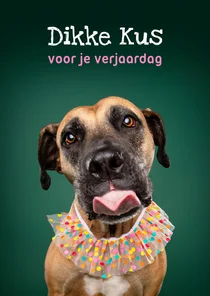 Lieve verjaardagskaart van hond met kraag en tong