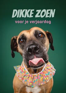 Lieve verjaardagskaart van hond met kraag en tong