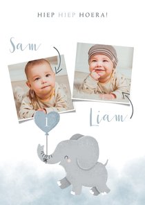 Lieve verjaardagskaart voor tweeling met olifantje en foto's