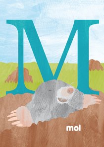 M van mol