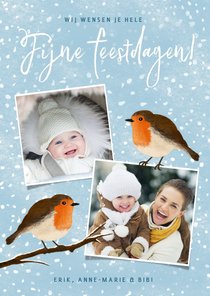 Moderne winterse kerstkaart met roodborstjes in de sneeuw